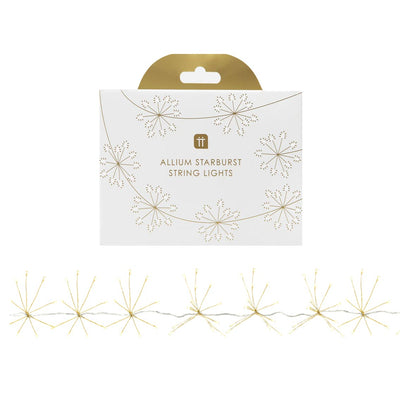 Botanical Mistletoe Allium Starburst LED String Lights - 2m