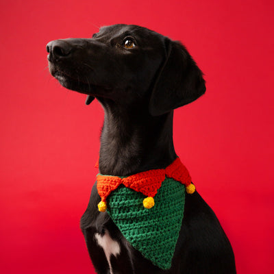 Dog / Cat Christmas Santa Bandana