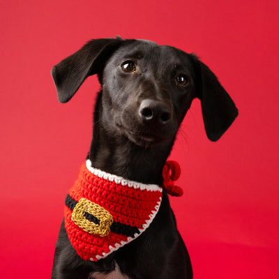Dog / Cat Santa Christmas Bandana