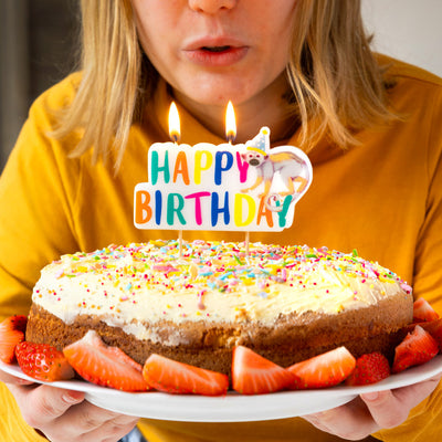 Safari Animals Birthday Candle | Kids Cake Candless |