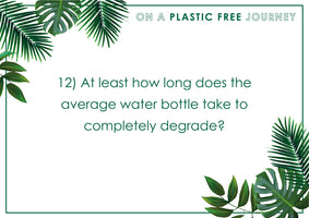 ECO Quiz