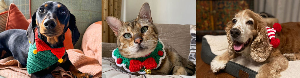 Christmas Pet Dress Up