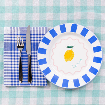Bon Appetit Blue & White Fabric Gingham Napkins/Tea Towels - 2 Pack