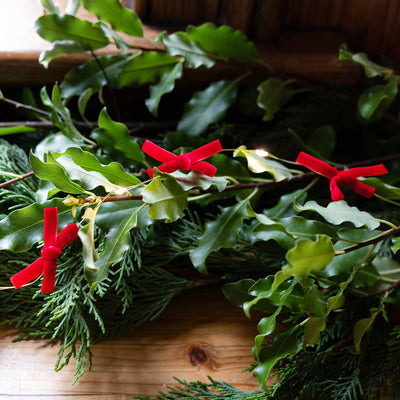 Candy Christmas Bow String Lights