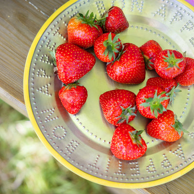 Bon Appetit Yellow Stainless Steel Reusable Plate - 25cm