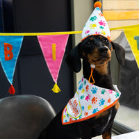 Dog Birthday Bandana & Party Hat
