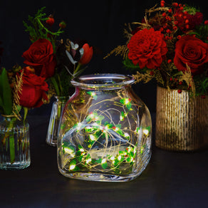 Botanical Holly String Lights 3M