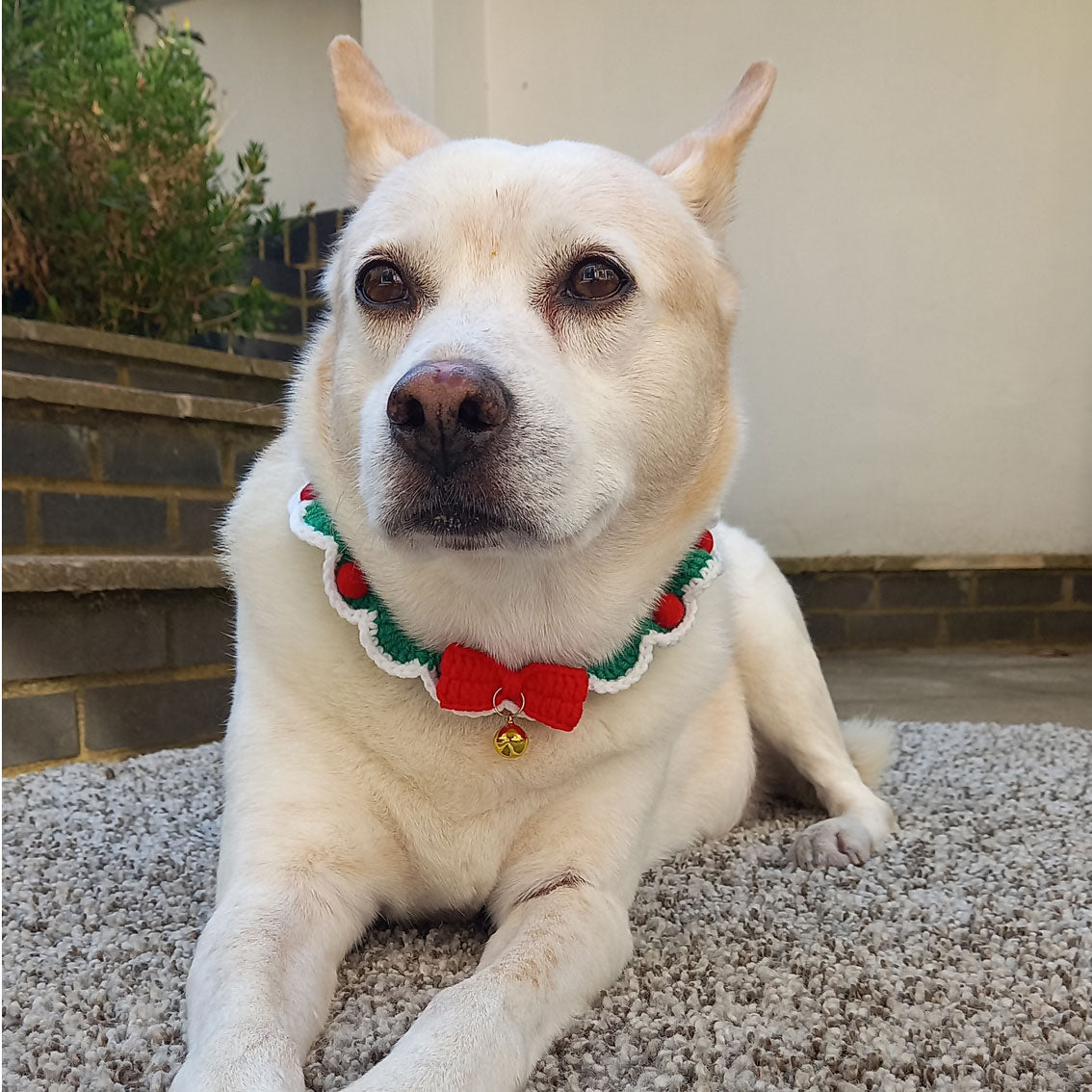 Crochet Christmas Dog Collar