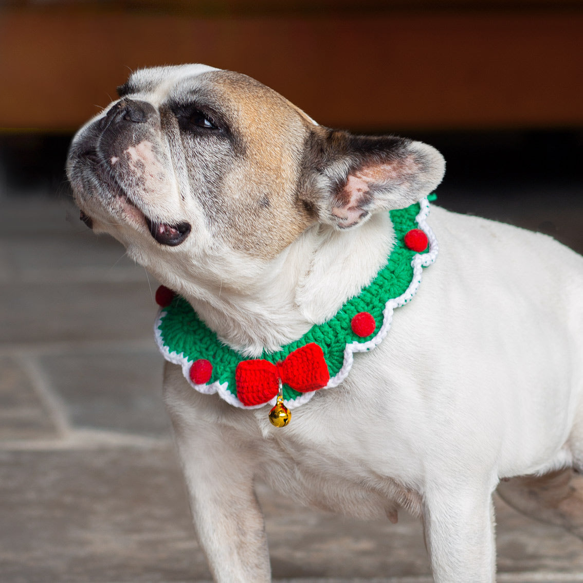 Crochet Christmas Dog Collar