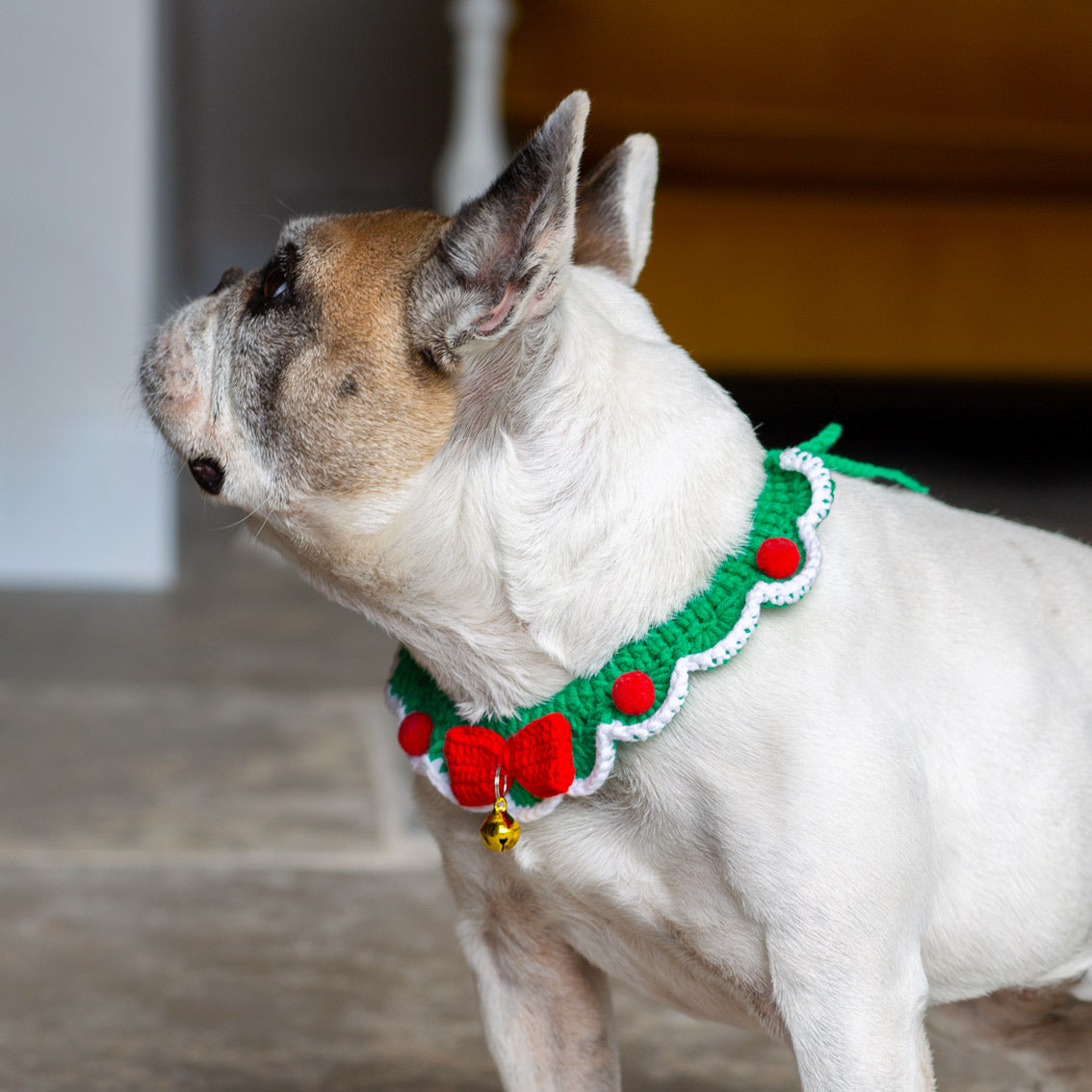 Crochet Christmas Dog Collar