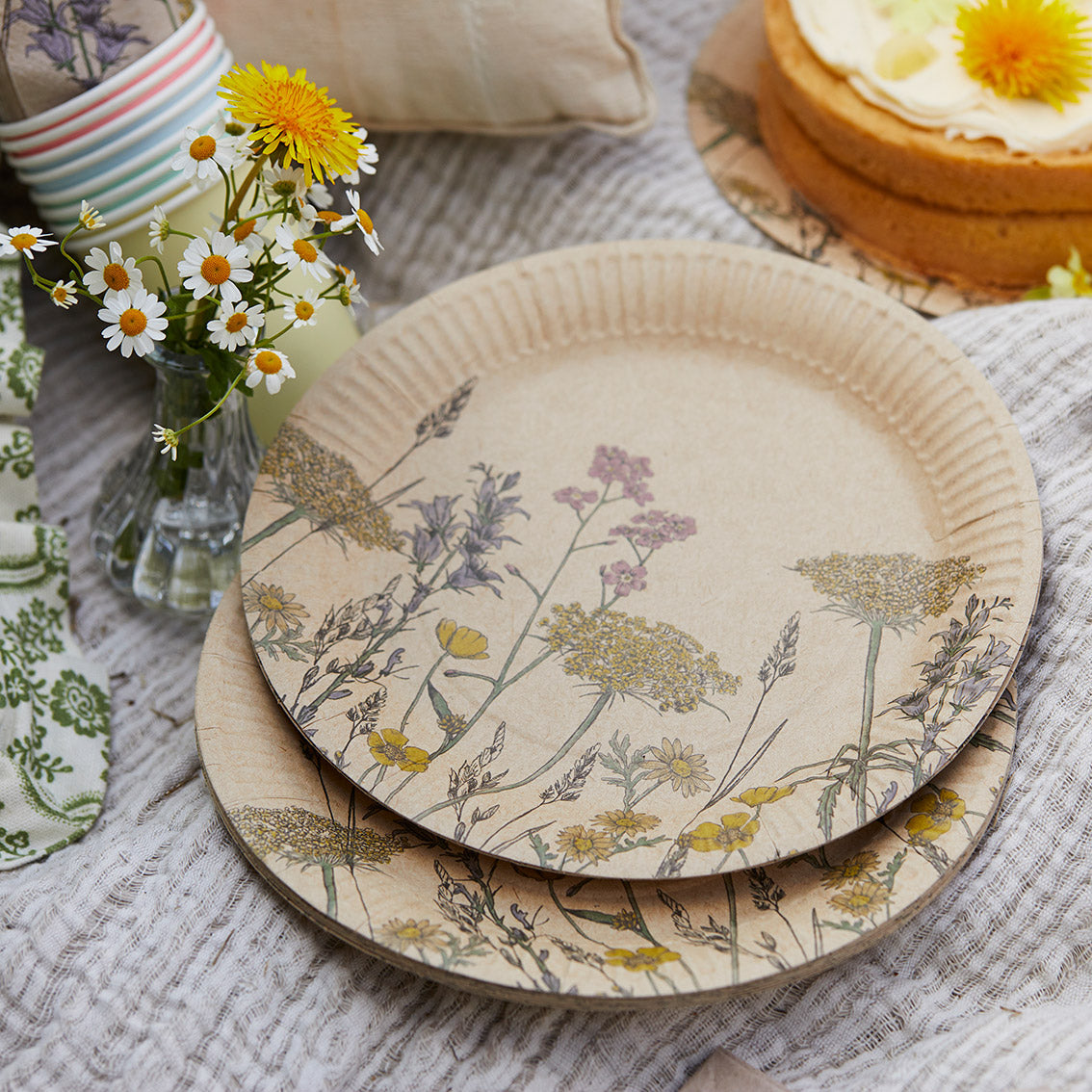 Natural Meadow Recycled Paper Plates - 12 Pack