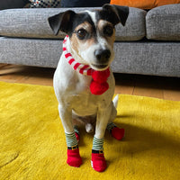 Christmas Non Slip Dog Socks - 4 Pack