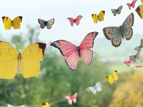 Truly Fairy Mini Paper Butterfly Bunting