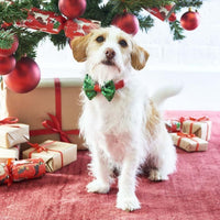 Christmas Entertainment Pooch Bow Tie